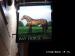 Picture of The Bay Horse