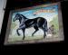 Picture of Black Horse