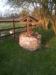 Picture of The Wishing Well