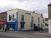 Picture of Golden Lion