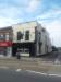 Picture of Golden Lion