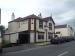 Picture of The Gloucester Old Spot