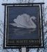 Picture of The White Swan