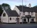 Picture of The Swan