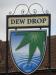 Picture of Dew Drop
