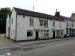 Picture of The Golden Lion