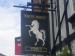 Picture of White Horse