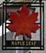 Picture of Maple Leaf