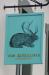 Picture of The Jackalope
