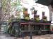 Picture of The Duke of York