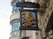 Picture of The Golden Lion