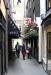 Picture of Red Lion