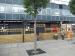 Picture of The Star in Shoreditch