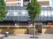 Picture of The Star in Shoreditch