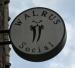 Picture of The Walrus