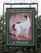 Picture of Greyhound