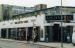 Picture of The Litten Tree