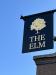 Picture of The Elm