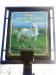 Picture of The White Horse