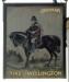 Picture of Duke of Wellington