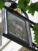 Picture of The White Hart