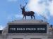 Picture of Bald Faced Stag