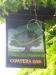 Picture of Cowpers Oak