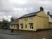 Picture of Bulls Head