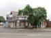 Picture of Royal Hart