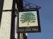 Picture of The Old Oak Tree