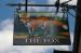 Picture of The Fox