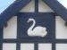 Picture of The Swan