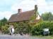Picture of White Horse