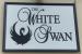 Picture of White Swan