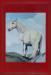 White Horse