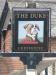 Picture of The Duke
