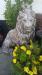 Picture of The Red Lion