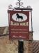 Picture of Black Horse
