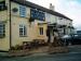 Picture of Bay Horse