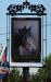 Picture of Bay Horse