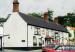 Picture of The White Swan