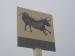 Picture of Black Bull