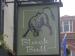 Picture of The Black Bull