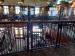 Picture of The Earl of Dalkeith (JD Wetherspoon)