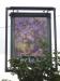 Picture of The Lilacs
