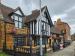 Picture of Golden Lion