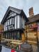 Picture of Golden Lion