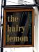 Picture of The Hairy Lemon