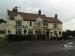 Picture of The White Swan