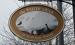 Picture of The White Swan